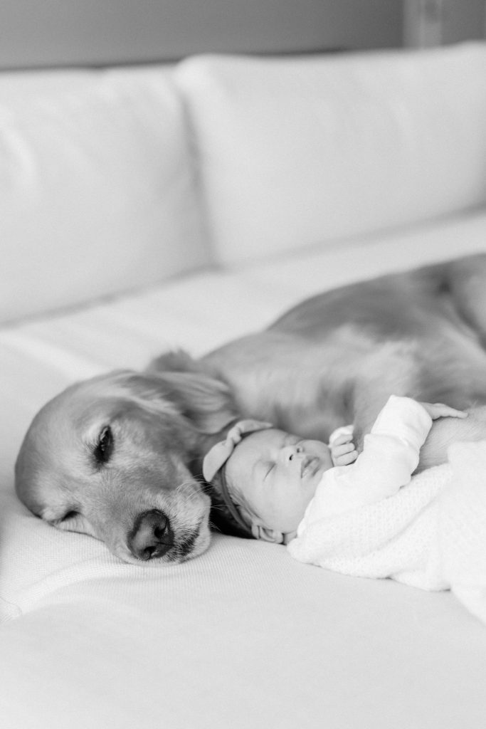 winnetka-photographer-baby